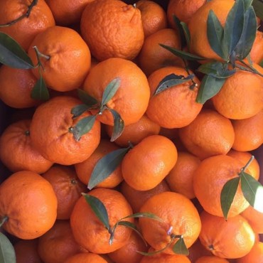 Mandarini pacco da 14 kg